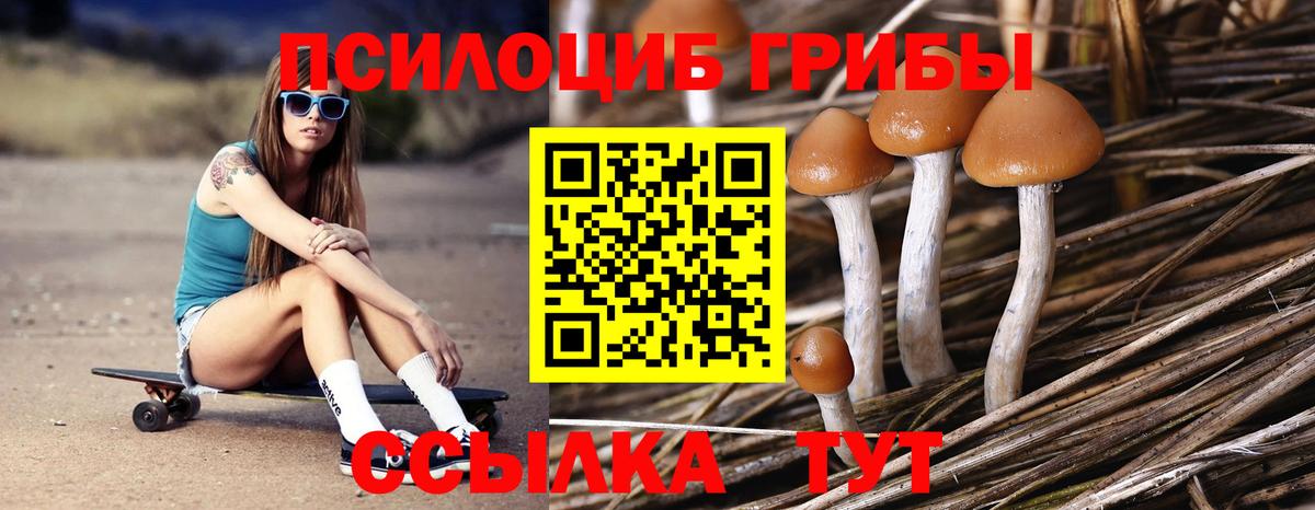 Каннабис Сергиев Посад
